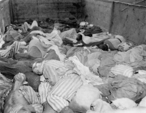 Lijken liggen in een van de open wagons van de dodentrein naar Dachau, 29 april - 1 mei 1945